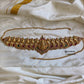Golden bridal Hipchain Aksha Trends
