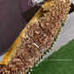 Antique bridal hipbelt -Green Aksha Trends
