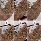 Premium floral diamond necklace Aksha Trends